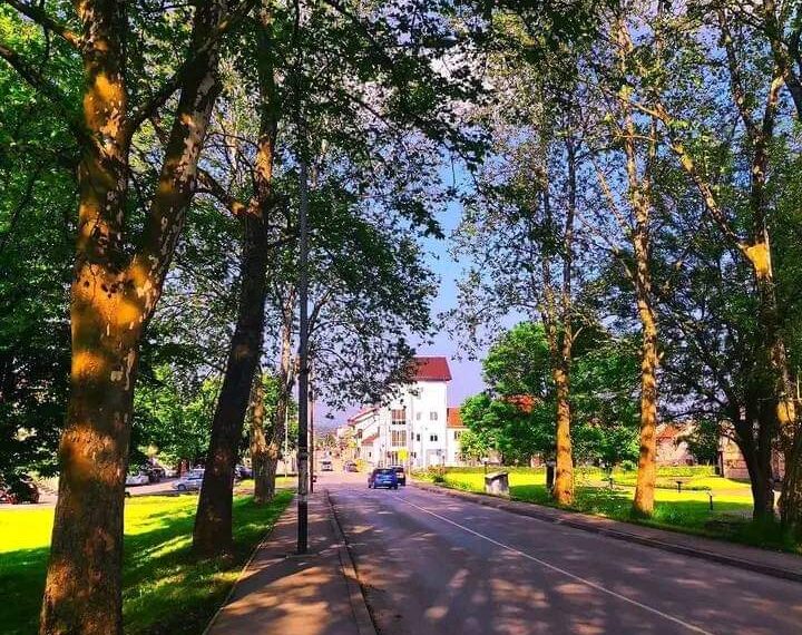 „Ноћ славуја“ и у Пожеги: Бесплатно посматрање и слушање птица од 24. до 26. априла