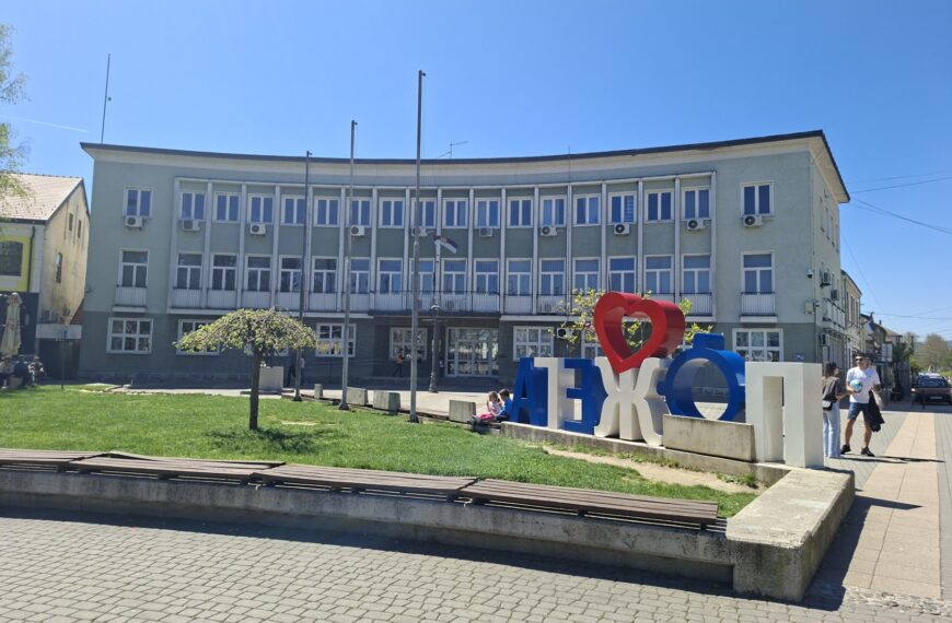 Хуманитарни базар у Пожеги за лечење Валентине Мариновић